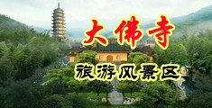 我要看日逼大黄片中国浙江-新昌大佛寺旅游风景区